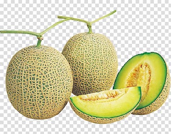 Honeydew Cantaloupe Galia melon Brix, melon transparent background PNG clipart