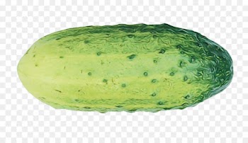 Honeydew, Watermelon, Wax Gourd, Green, Food PNG