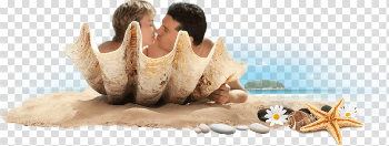Honeymoon Transparent