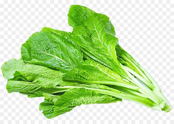 Hong Kong Lettuce Bhurta Vegetable Salad - Brassica vegetables spinach 