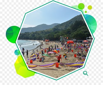 Hong Kong Stadium Mong Kok Stadium Beach volleyball Recreation - lok fu 
