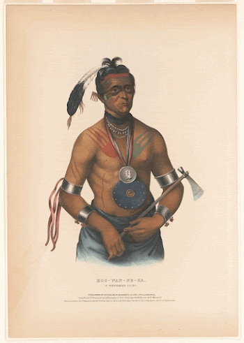 Hoo-Wan-Ne-Ka, a Winnebago chief / | Free Photo - rawpixel