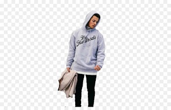 Hoodie Norway Instagram - Herman Wirth 