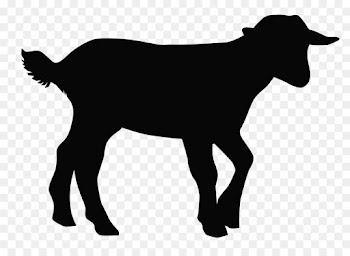 Hoodie, Sheep, German Shorthaired Pointer, Vertebrate, Goats PNG