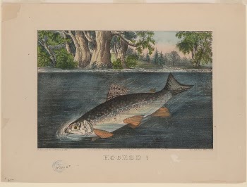 Hooked! (1874) by Currier & | Free Photo - rawpixel