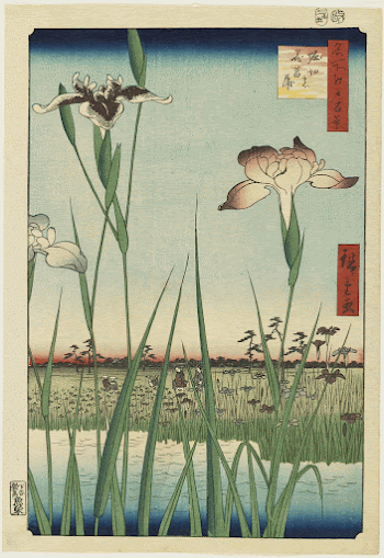 Horikiri Iris GardenOriginal from the Minneapolis | Free Photo - rawpixel