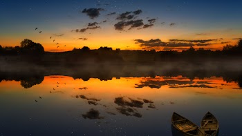 Horizon of Body of Water Under Sunset