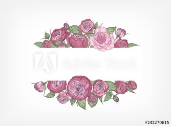 Horizontal banner decorated with blooming garden English roses