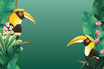Hornbill bird border background, green | Free Photo Illustration - rawpixel