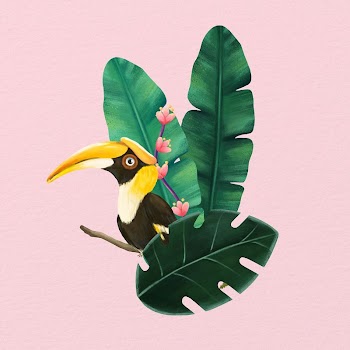 Hornbill bird illustration, pink design | Free Photo Illustration - rawpixel