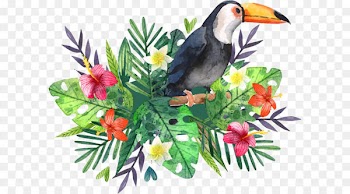 Hornbill Fauna Flora Tote bag - Hand painted watercolor big mouth bird poster 