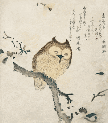 Horned owl on a branch | Free Photo Illustration - rawpixel