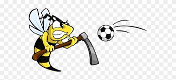 Hornet Mascot By Eseraart - Hornet Mascot Soccer