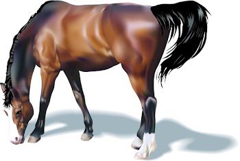 Horse. A photorealistic illustration of a horse. Created with meshes.