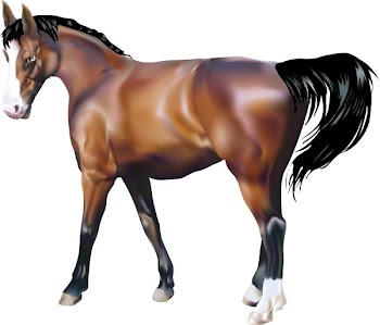 Horse. A photorealistic illustration of a horse. Created with meshes.