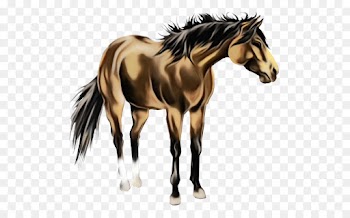 horse animal figure mane mustang horse stallion