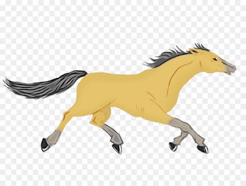 horse animal figure mane przewalski's horse yellow
