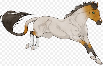horse animal figure shetland pony mane line art
