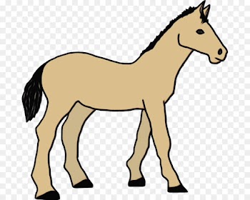 horse animal figure sorrel line art foal