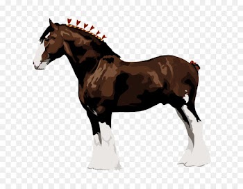 horse animal figure sorrel mane stallion
