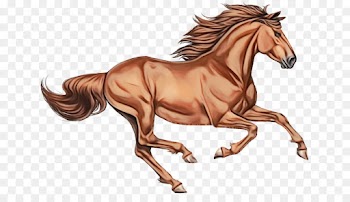 horse animal figure sorrel stallion mare