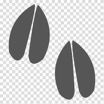Horse Animal track, bison transparent background PNG clipart
