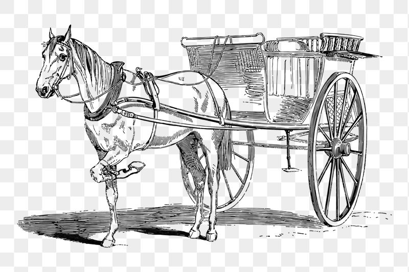 Horse carriage png sticker illustration, | Free PNG - rawpixel