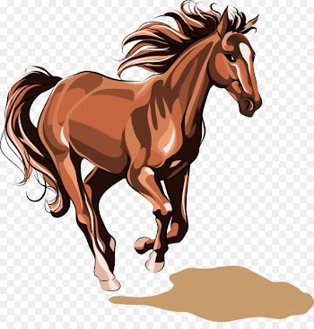 Horse Chinese zodiac Stock illustration Illustration - horse 