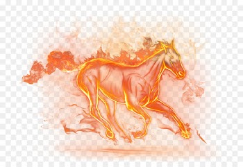 Horse Clip art Ghoray Shah Portable Network Graphics Image - horse 