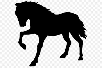 Horse Clip art - Horse Silhouette Transparent PNG Clip Art Image 