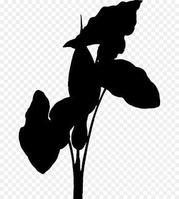 Horse Clip art Mammal Silhouette H&M -  