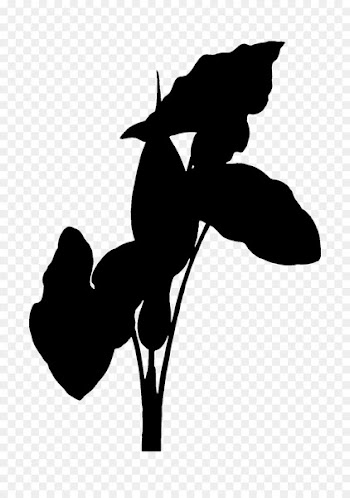 Horse Clip art Silhouette H&M Flowering plant -  