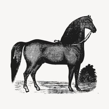 Horse clipart, vintage animal illustration | Free Vector - rawpixel