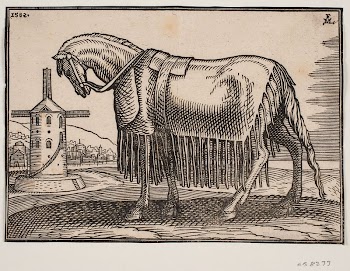 Horse, covered with scapular, profile | Free Photo - rawpixel