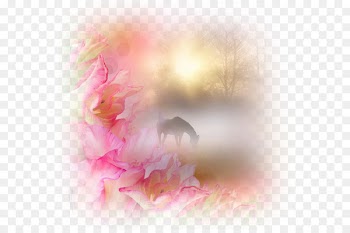 Horse Desktop Wallpaper Unicorn - Mask health 