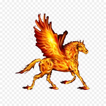 Horse Download - Pegasus 