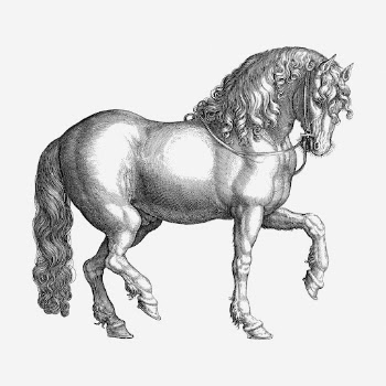 Horse drawing, animal vintage illustration. | Free Photo - rawpixel