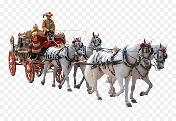 Horse-drawn vehicle Carriage Coach Horse and buggy - horse 