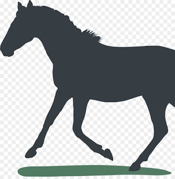 Horse Equestrian Pony T-shirt Gift - horse 