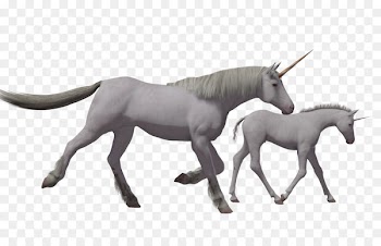 Horse Foal Pony Colt Stallion - Sketch cartoon horse 