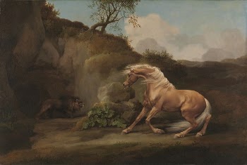 Horse Frightened by a Lion | Free Photo - rawpixel
