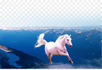Horse Gallop Wallpaper - Dream Horse 