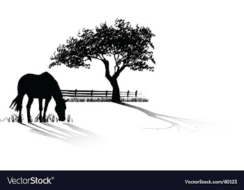 Horse grazing vector image