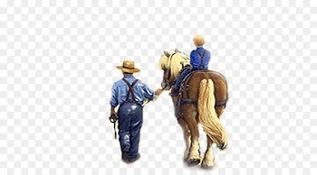 Horse, Halter, Cowboy, Rein PNG