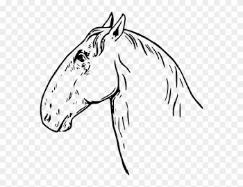 Horse Head Clip Art Free Clipart To Use Resource - Clipart Free Horse Black And Wite
