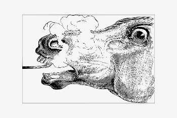 Horse head clipart, drawing illustration | Free Vector Illustration - rawpixel