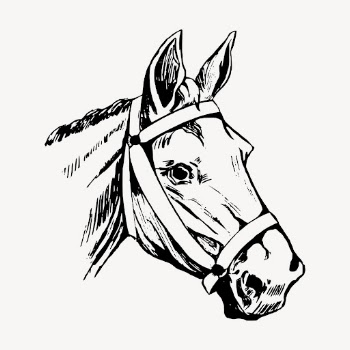 Horse head clipart, vintage animal | Free Vector - rawpixel