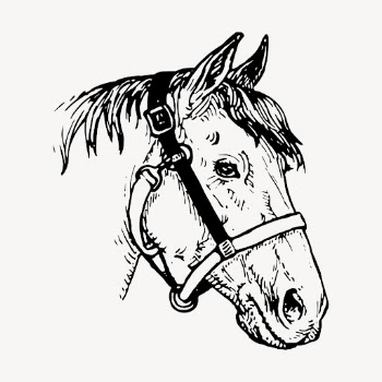 Horse head clipart, vintage animal | Free Vector - rawpixel