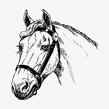 Horse head clipart, vintage animal | Free Vector - rawpixel