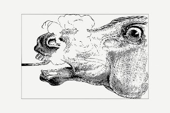Horse head collage element, vintage | Free PSD Illustration - rawpixel
